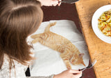 CAT NAPKIN