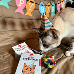 KIKKERLAND CAT BIRTHDAY KIT