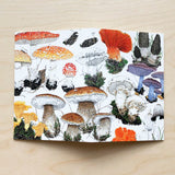 FUNGI NOTEBOOK