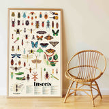 INSECTS POSTER WITH STICKERS