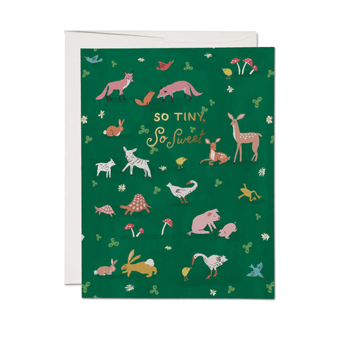 SO TINY, SO SWEET CARD