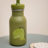 WATER BOTTLE-MR.DINO