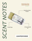 REDWOOD MIST SOLID PERFUME