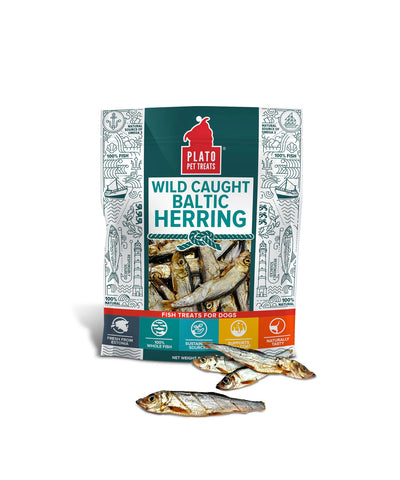 WILD CAUGHT BALTIC HERRING