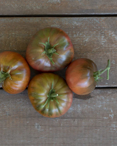 TOMATOES MEDUSA F1 ORGANIC