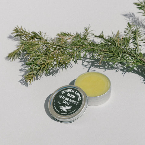 HEALING FOREST SALVE