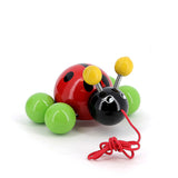 PULL ALONG BABY LADYBUG