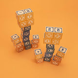 UNCLE GOOSE DUTCH ALPHABET BLOCKS