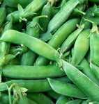 SNAP PEAS SUPER SUGAR SNAP